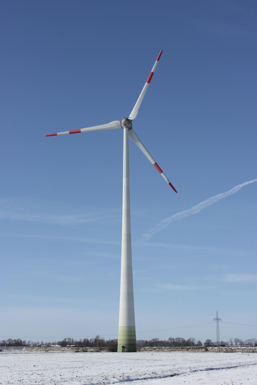 découvrez l'importance de la durabilité et comment adopter des pratiques écoresponsables pour préserver notre planète. explorez des solutions innovantes pour un avenir durable et apprenez à vivre en harmonie avec l'environnement.
