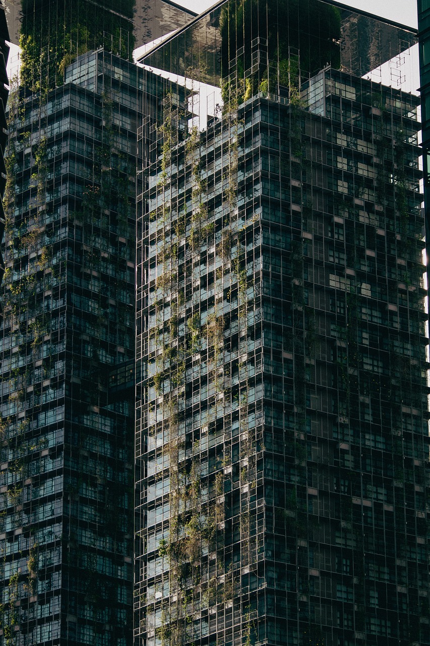 découvrez comment la gestion forestière durable préserve les ressources naturelles, protège la biodiversité et soutient les communautés locales tout en assurant une exploitation responsable des forêts pour les générations futures.