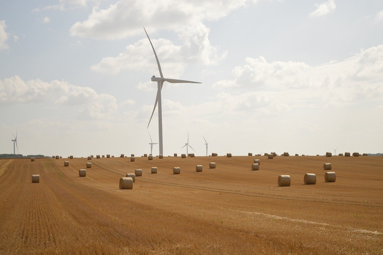 découvrez les matériaux durables : solutions innovantes et respectueuses de l’environnement pour construire un avenir plus écologique et responsable.