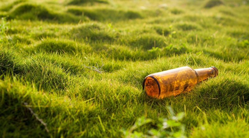 découvrez comment la coopération environnementale permet aux pays et aux organisations de travailler ensemble pour protéger la planète, partager des ressources et développer des solutions durables face aux défis écologiques.