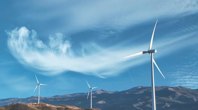 découvrez comment adopter un mode de vie durable grâce à des conseils pratiques, des astuces écologiques et des solutions innovantes pour préserver l'environnement au quotidien.