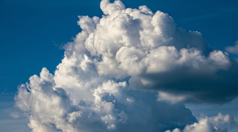 découvrez les stratégies et solutions pour l’adaptation au changement climatique : enjeux, initiatives et conseils pour renforcer la résilience face aux impacts environnementaux.