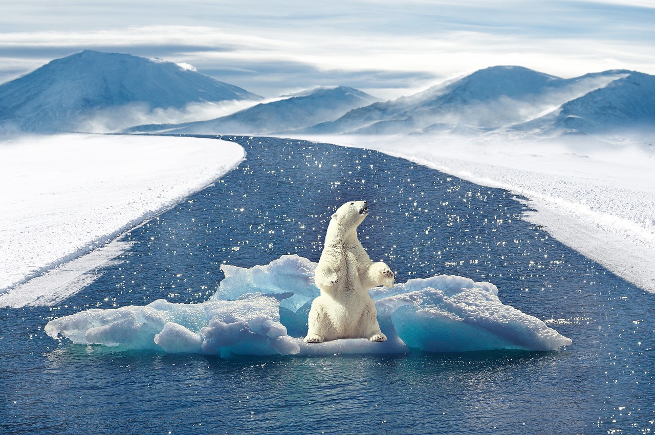 découvrez comment l’adaptation au climat permet de faire face aux changements climatiques grâce à des solutions innovantes pour protéger les communautés, les écosystèmes et garantir un avenir durable.