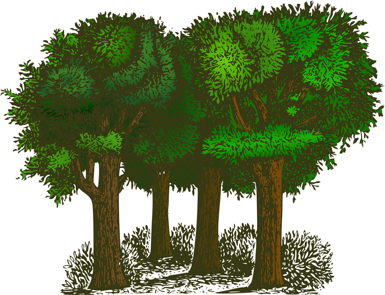 découvrez notre service d'écologie : solutions durables pour la protection de l'environnement, gestion responsable des ressources et conseils sur la transition écologique pour entreprises et collectivités.