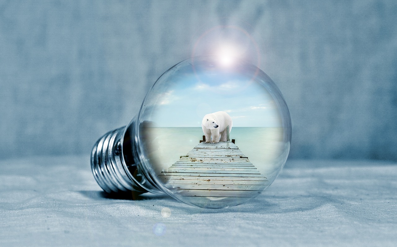 découvrez comment la transition énergétique transforme nos modes de production et de consommation d'énergie, en favorisant les énergies renouvelables et l'efficacité pour un avenir durable.