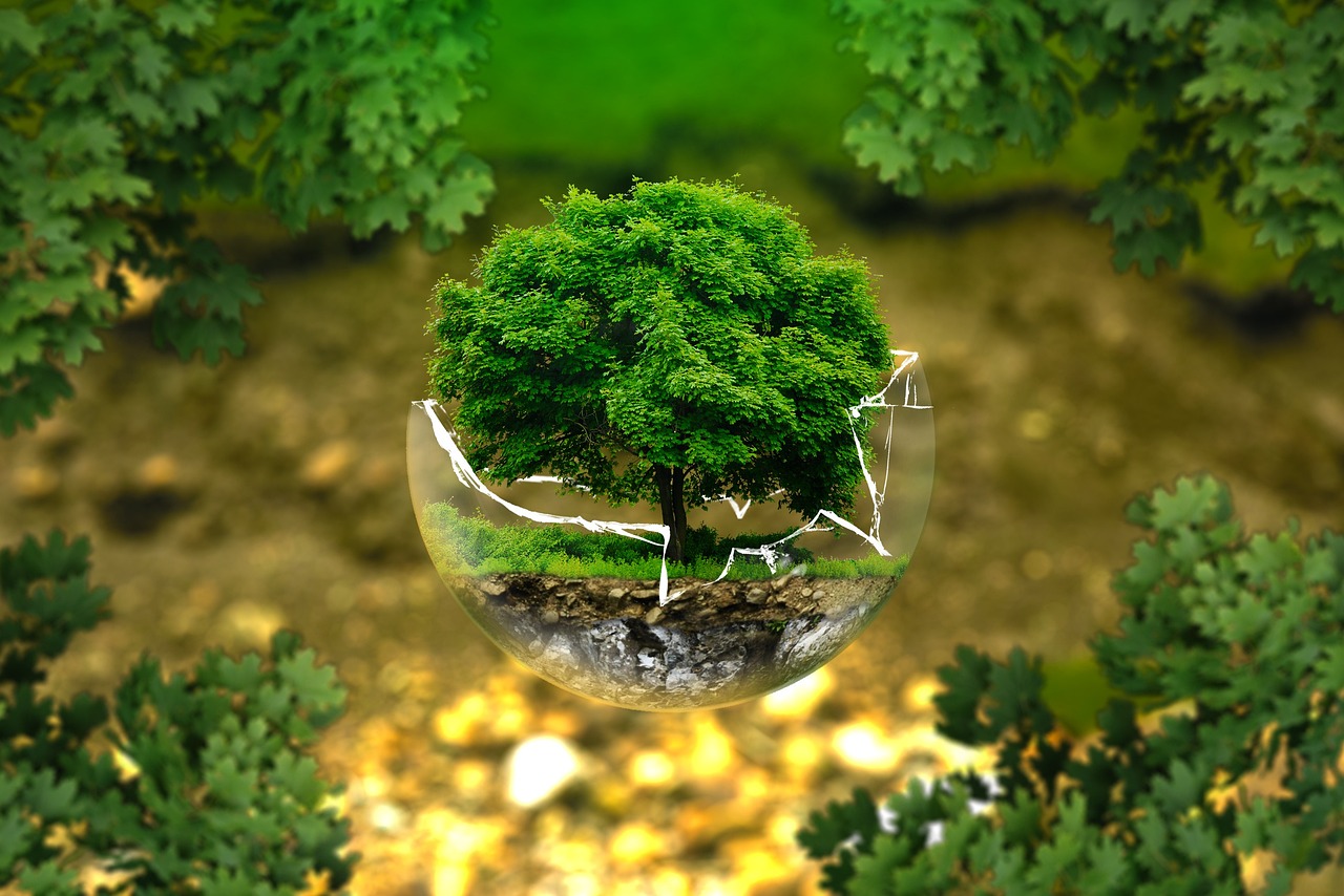 découvrez l'impact environnemental, ses causes et ses conséquences, ainsi que les solutions pour préserver la planète et adopter des comportements responsables au quotidien.