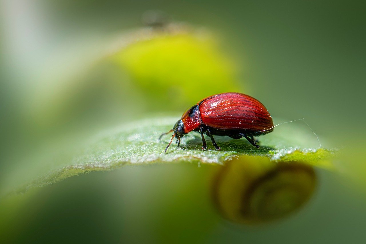 découvrez l'écologie intégrale : une approche globale qui relie la protection de l’environnement, la justice sociale et le bien-être humain pour un avenir durable et harmonieux.