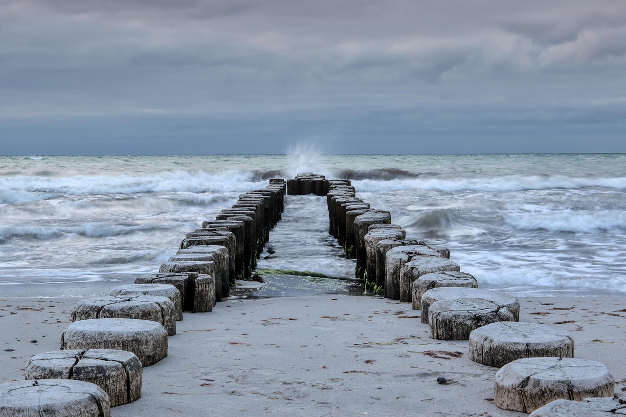découvrez l'importance de la protection des océans, les menaces auxquelles ils font face et les actions concrètes à adopter pour préserver la biodiversité marine et assurer un avenir durable à notre planète.