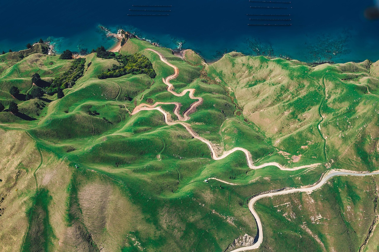 découvrez la beauté de l'océan, sa faune et sa flore exceptionnelles, et explorez ses mystères fascinants. plongez dans un univers unique entre paysage marin et biodiversité extraordinaire.