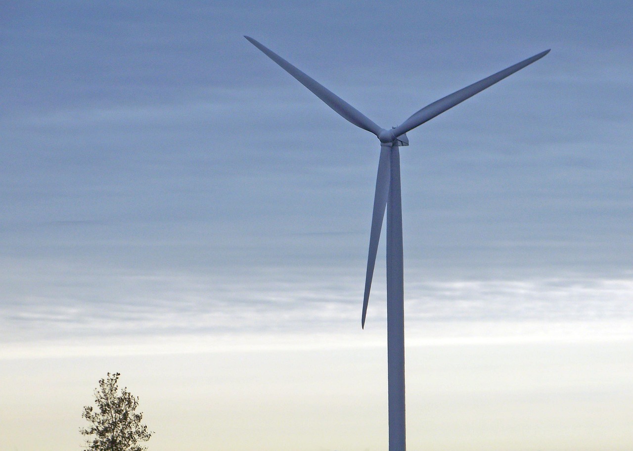 découvrez ce que sont les ressources renouvelables, leur importance pour la planète, et comment elles contribuent au développement durable et à la transition énergétique.