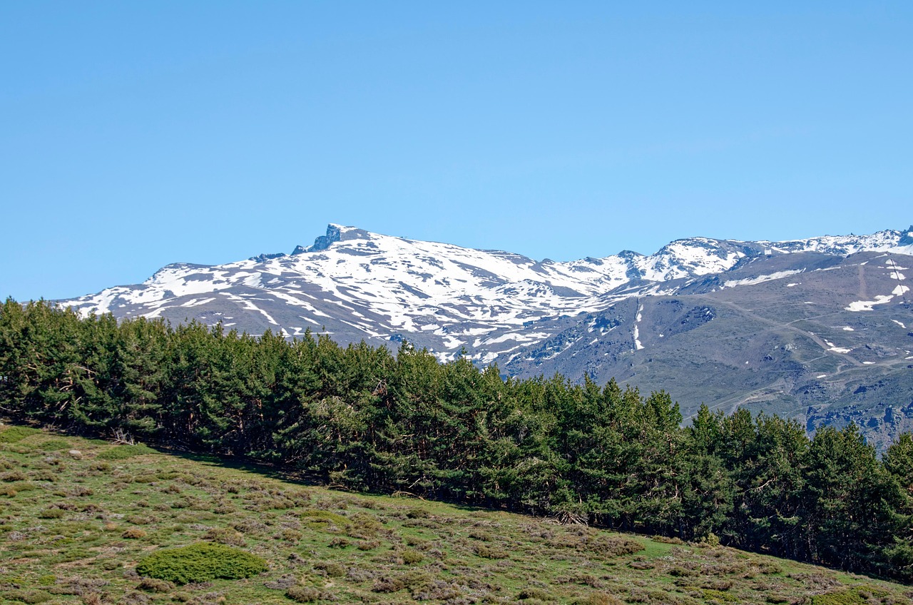 découvrez le sierra club, l’une des plus grandes organisations environnementales aux états-unis, engagée dans la protection de la nature, la lutte contre le changement climatique et la promotion de solutions écologiques pour un avenir durable.