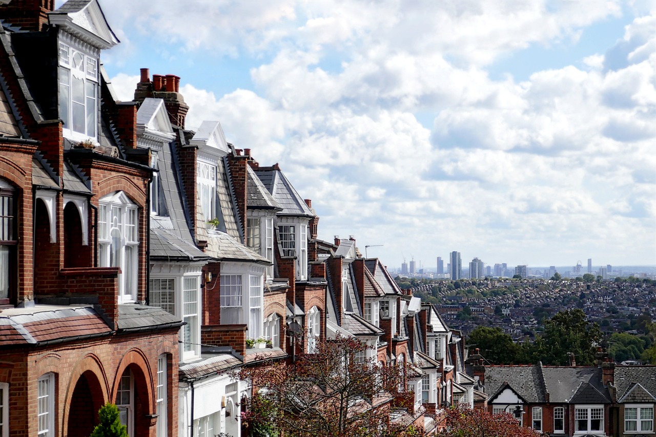 découvrez l'écologie des banlieues : interactions entre nature, humains et urbanisation, enjeux environnementaux et biodiversité en milieu suburbain.
