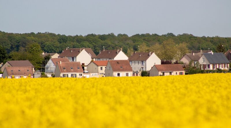 découvrez comment l'écologie des banlieues influence la biodiversité, l'environnement urbain et la vie quotidienne. explorez les interactions entre nature et développement suburbain pour un avenir plus durable.