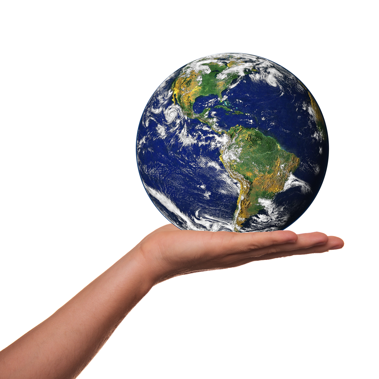 découvrez l'importance de la sensibilisation à l'environnement, ses enjeux, et les actions à adopter pour protéger notre planète au quotidien.