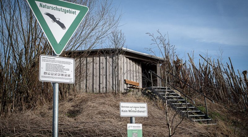 découvrez l'éducation à l'environnement : méthodes, enjeux et conseils pour sensibiliser petits et grands à la préservation de la nature et aux gestes écoresponsables.
