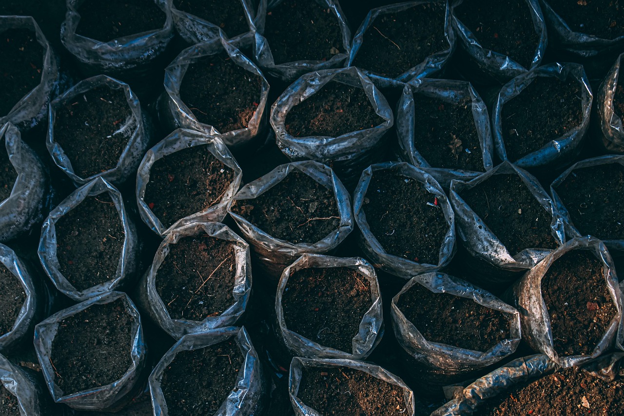 découvrez tout sur le sol : définition, composition, importance pour l’agriculture et l’environnement. apprenez comment protéger et améliorer la qualité des sols pour un avenir durable.
