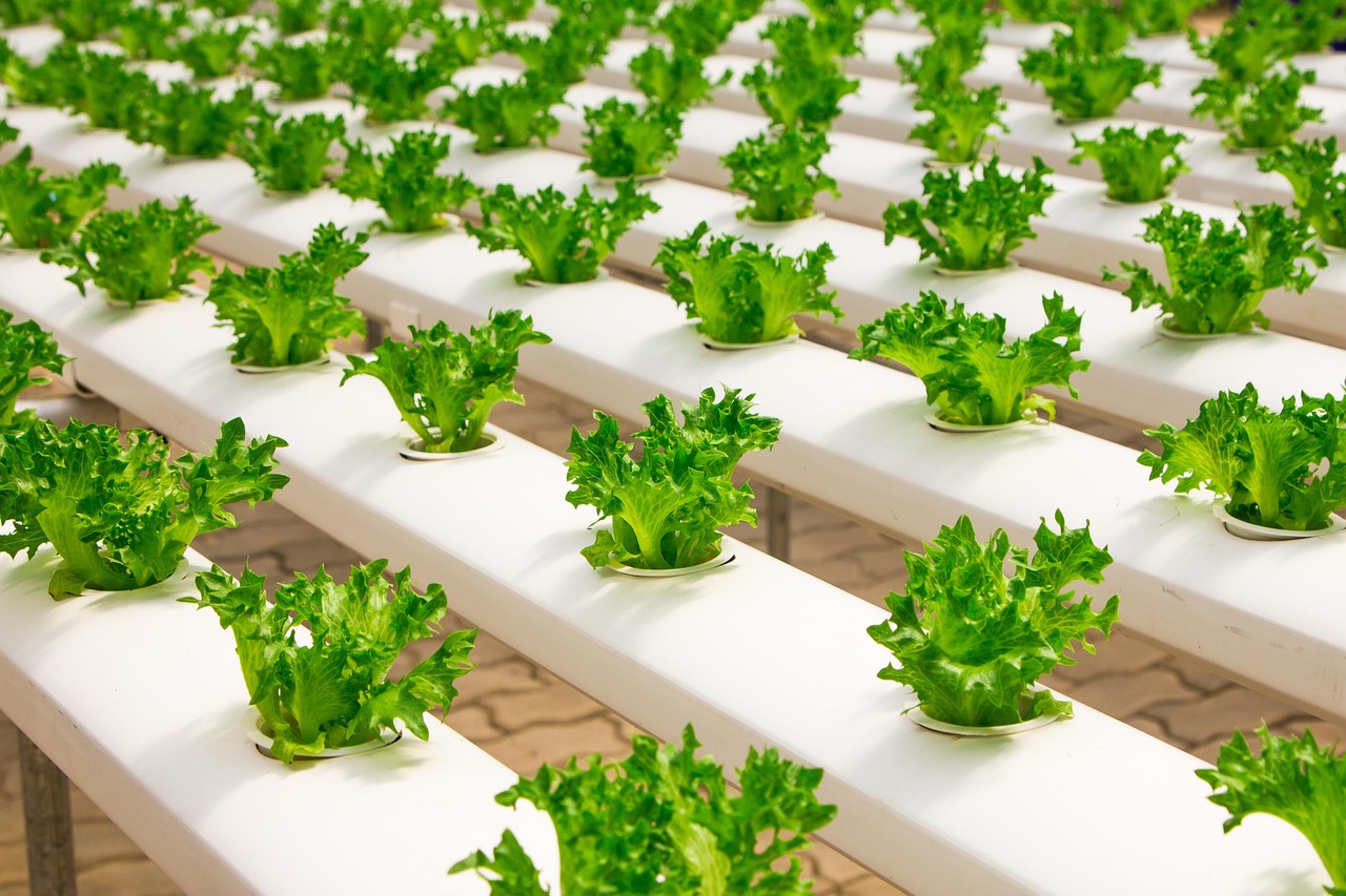 découvrez comment l'agriculture durable préserve l'environnement, soutient les communautés rurales et garantit une production alimentaire saine et responsable pour les générations futures.