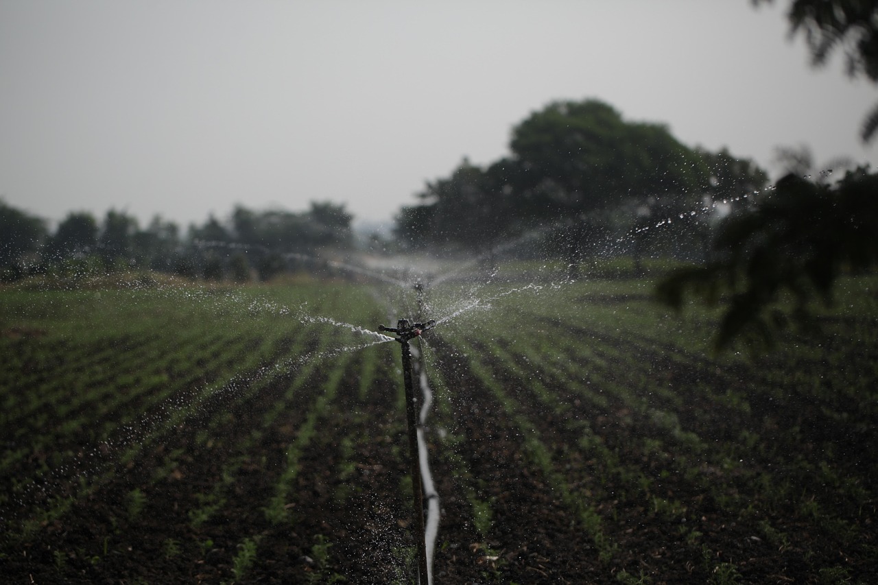 découvrez les principes et avantages de l'agriculture durable : des pratiques respectueuses de l'environnement visant à préserver les ressources naturelles, améliorer la biodiversité et garantir une production alimentaire saine et responsable.