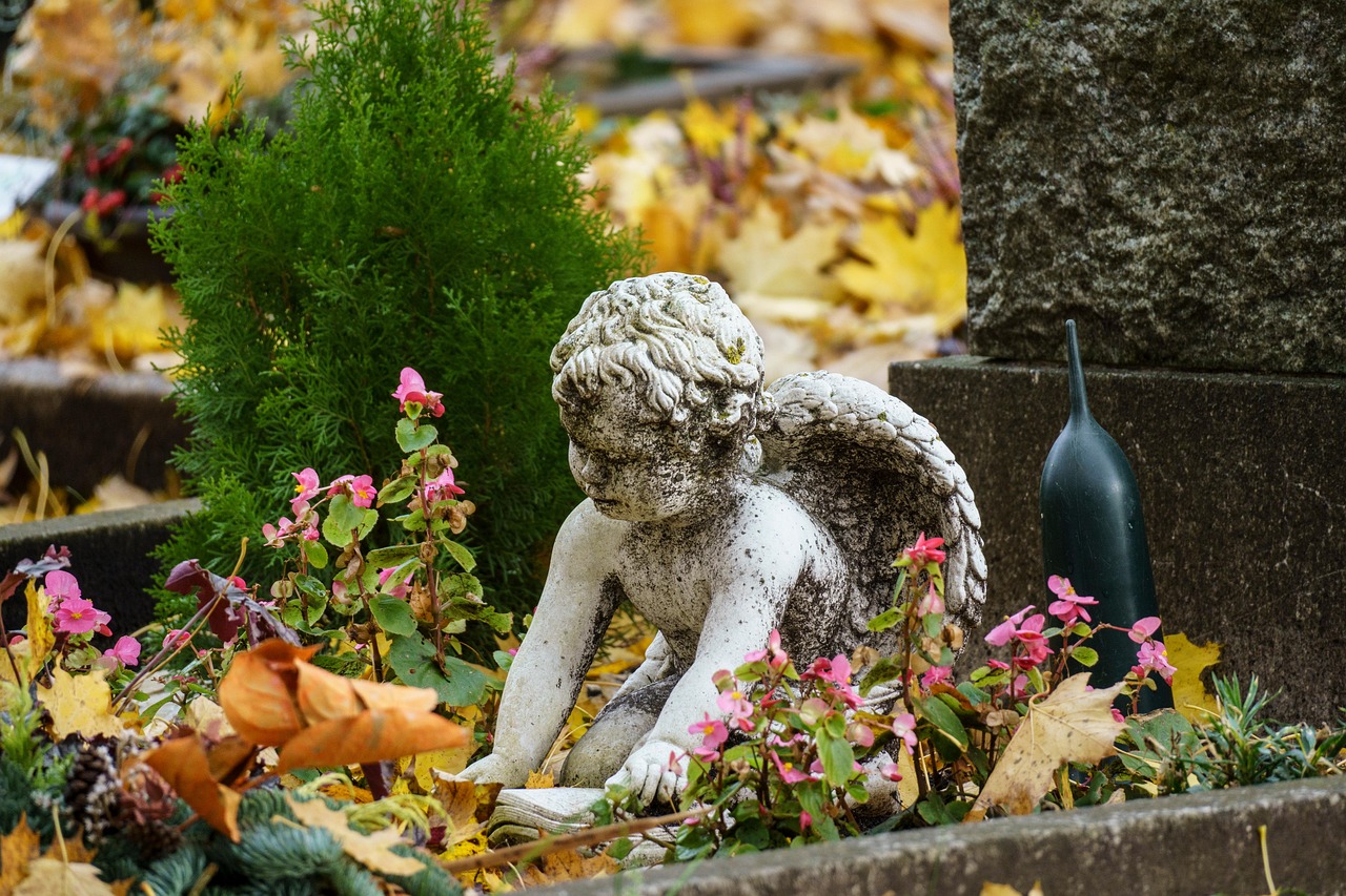découvrez l'inhumation écologique avec la wood burial : une alternative naturelle à l’enterrement traditionnel, respectueuse de l’environnement et tournée vers le retour à la terre.