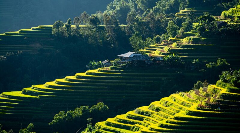 découvrez comment pratiquer le compostage en appartement pour réduire vos déchets organiques de manière simple et écologique, même sans jardin.