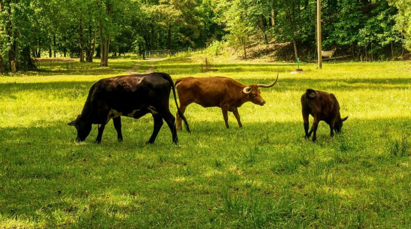 découvrez l'évolution de l'empreinte carbone et son impact environnemental au fil du temps. analyse des tendances, causes principales et solutions pour un avenir plus durable.