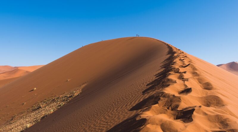 découvrez le rôle des militants pour le climat, leurs actions et leurs motivations pour protéger l’environnement et lutter contre le réchauffement climatique.