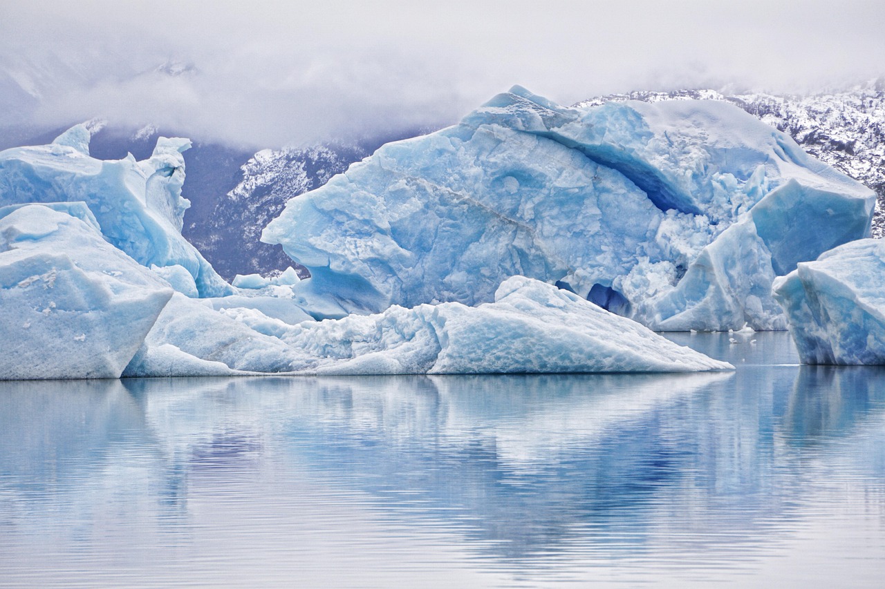 découvrez les principales initiatives climatiques, leurs objectifs et leurs impacts positifs sur la lutte contre le changement climatique. explorez comment ces actions favorisent un avenir plus durable.