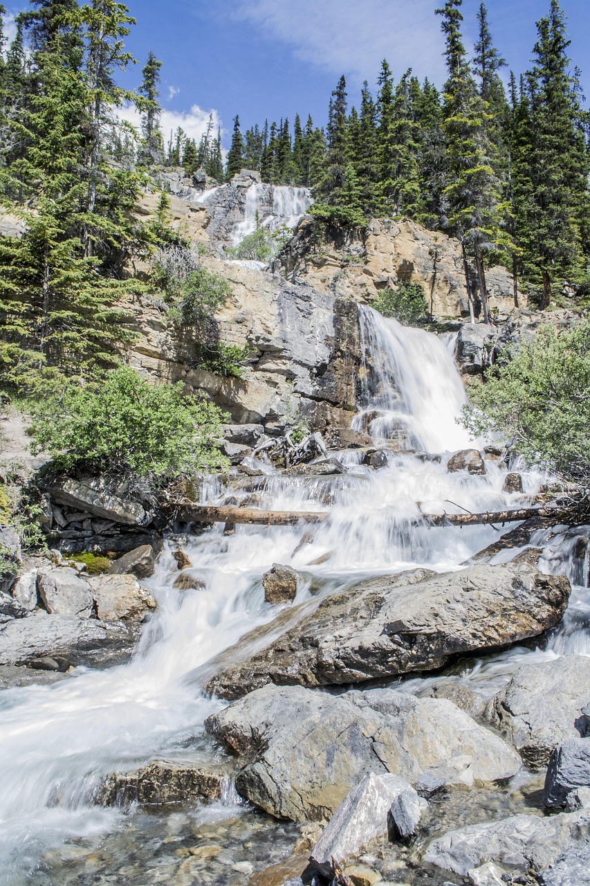 participez au sommet sur le climat, une rencontre internationale dédiée à la lutte contre le changement climatique et à la promotion de solutions durables pour notre planète.