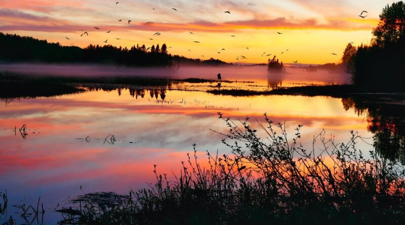 découvrez les principes de la planification écologique pour un développement durable, intégrant la protection de l'environnement et la gestion responsable des ressources naturelles.