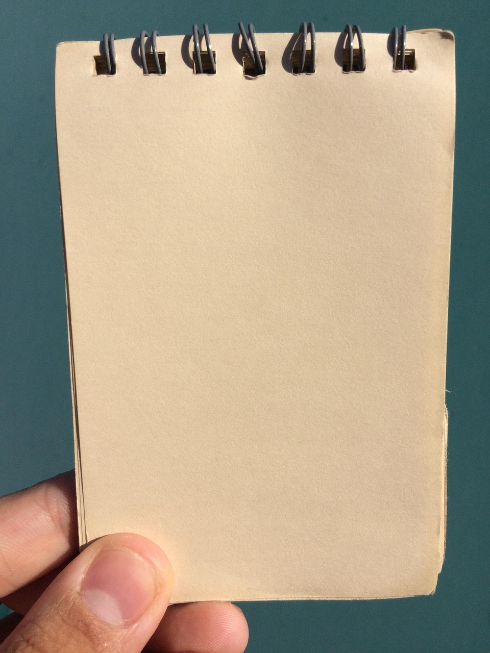 découvrez comment les budgets verts favorisent un financement durable et écologique pour un avenir respectueux de l'environnement.