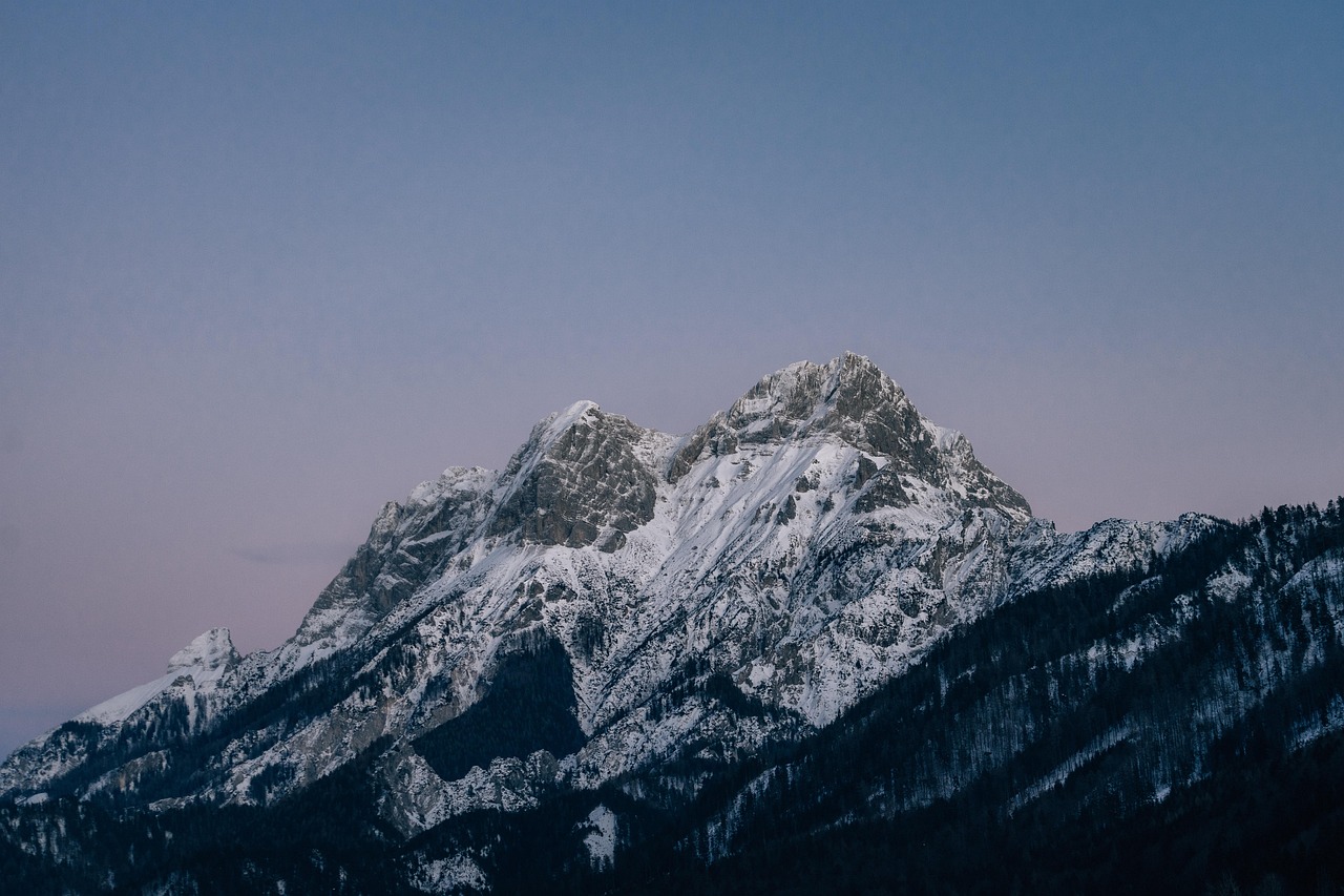 participez au sommet sur la biodiversité pour explorer des solutions durables et protéger notre planète. rejoignez des experts et des décideurs engagés en faveur de la conservation de la nature.