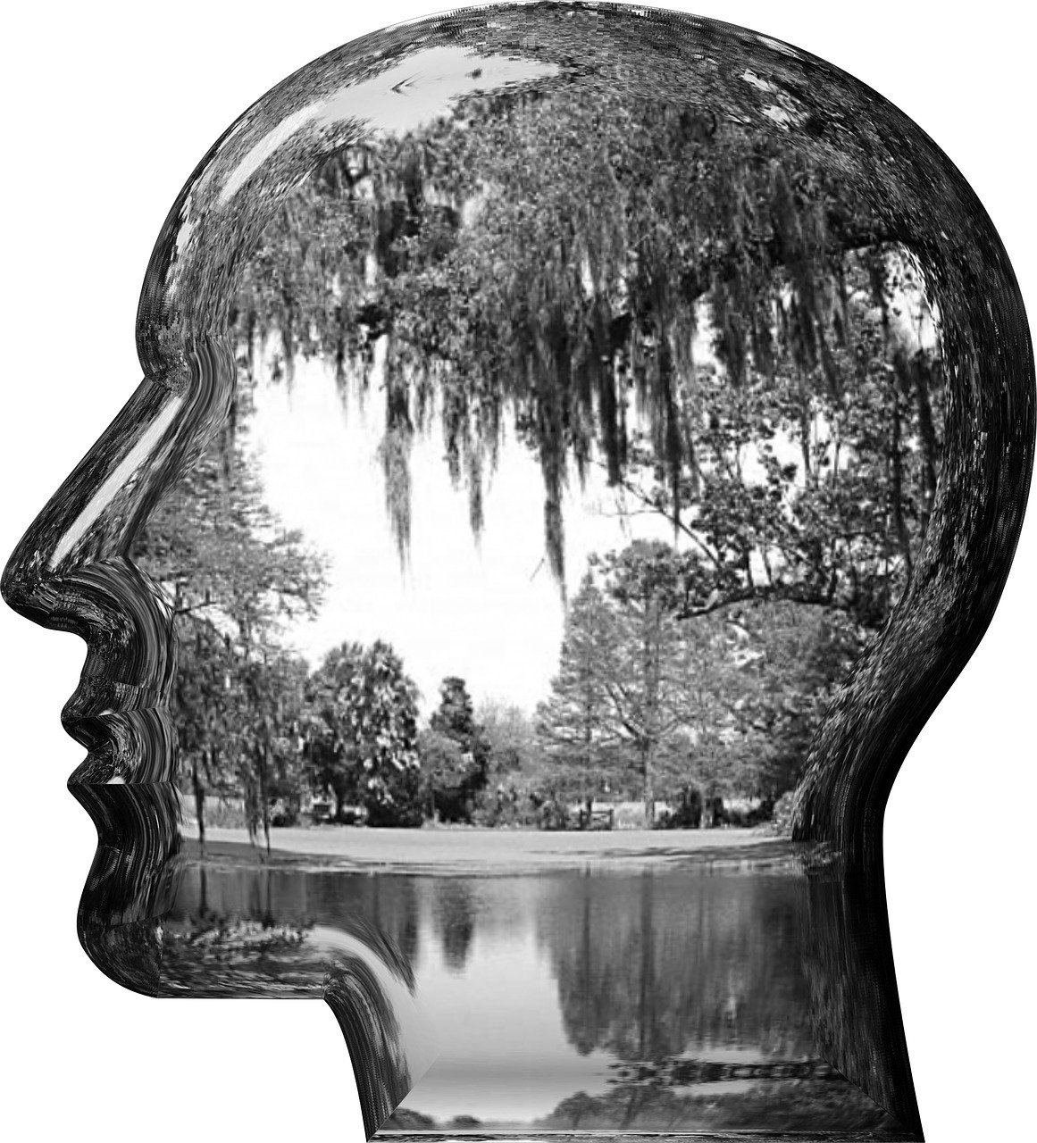 découvrez des personnalités inspirantes qui motivent et encouragent à atteindre vos objectifs grâce à leur parcours exceptionnel et leurs valeurs fortes.