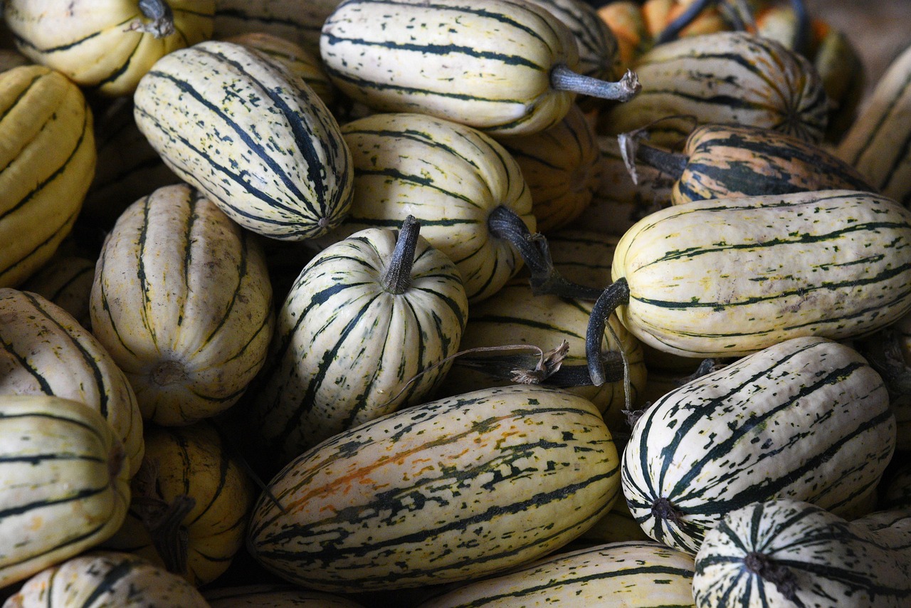 d&eacute;couvrez notre s&eacute;lection de produits de saison frais et savoureux, pour des repas sains et gourmands tout au long de l'ann&eacute;e.