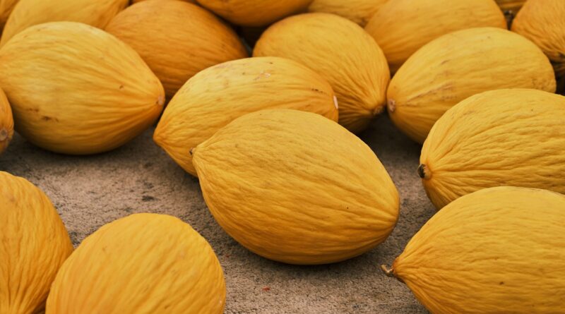 d&eacute;couvrez les fruits et l&eacute;gumes de saison pour une alimentation fra&icirc;che, locale et savoureuse tout au long de l'ann&eacute;e.