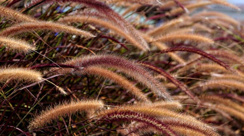 d&eacute;couvrez notre initiative sportive &eacute;co-responsable visant &agrave; promouvoir des activit&eacute;s sportives respectueuses de l'environnement et un mode de vie durable.