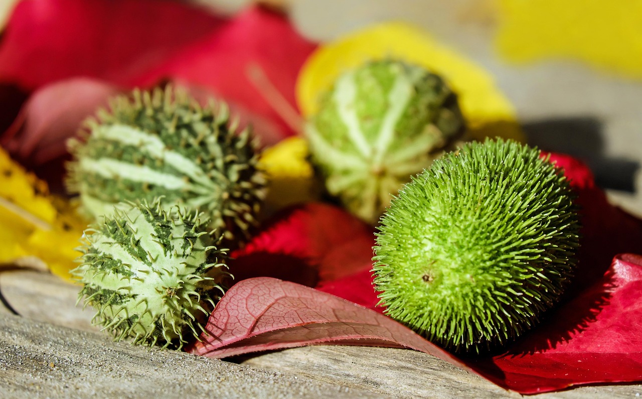 découvrez les meilleures pratiques et conseils pour adopter une consommation durable, respectueuse de l'environnement et bénéfique pour les générations futures.