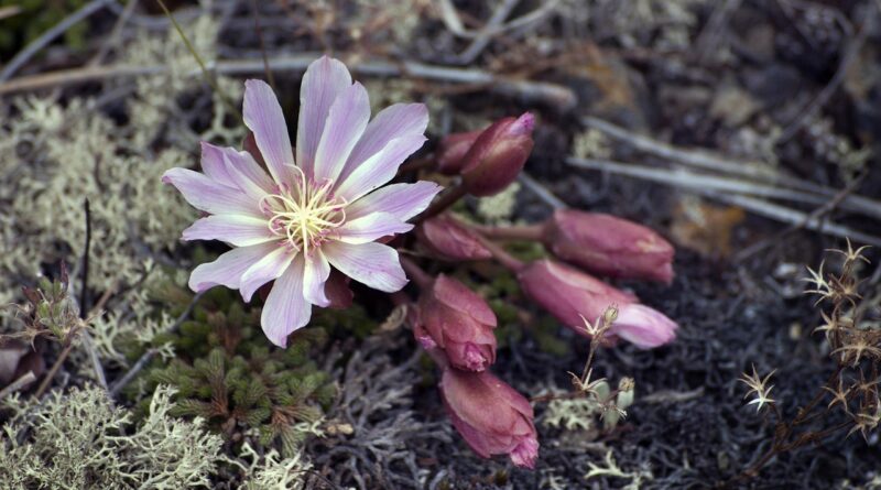 d&eacute;couvrez l'&eacute;ducation durable, une approche innovante qui int&egrave;gre respect de l'environnement et d&eacute;veloppement responsable pour former les citoyens de demain.