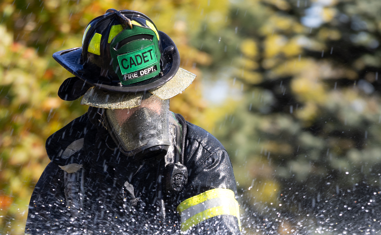 d&eacute;couvrez les causes, impacts et mesures de pr&eacute;vention des incendies de for&ecirc;t. informez-vous sur la gestion et la protection des zones touch&eacute;es par les feux sauvages.