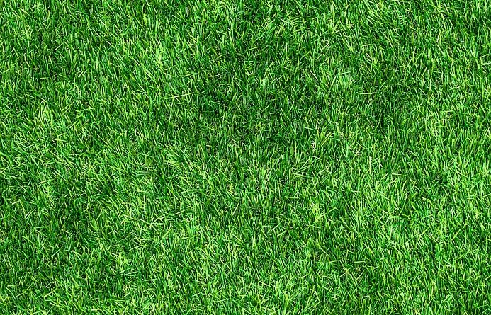 d&eacute;couvrez une isolation thermique &eacute;cologique alliant efficacit&eacute; &eacute;nerg&eacute;tique et respect de l'environnement pour un confort durable et des &eacute;conomies d'&eacute;nergie.