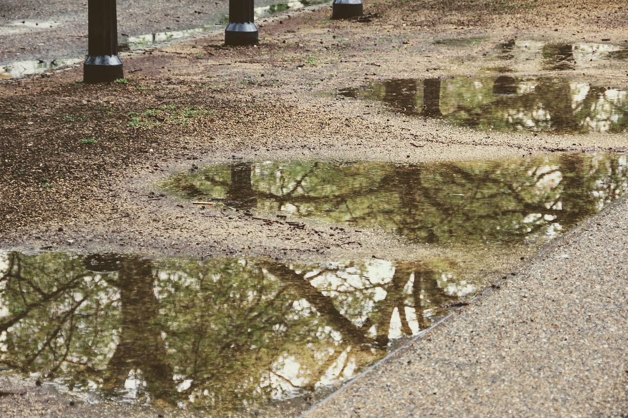 d&eacute;couvrez les m&eacute;thodes efficaces de collecte et de gestion des eaux de pluie pour &eacute;conomiser l'eau et prot&eacute;ger l'environnement gr&acirc;ce &agrave; la r&eacute;cup&eacute;ration des eaux pluviales.